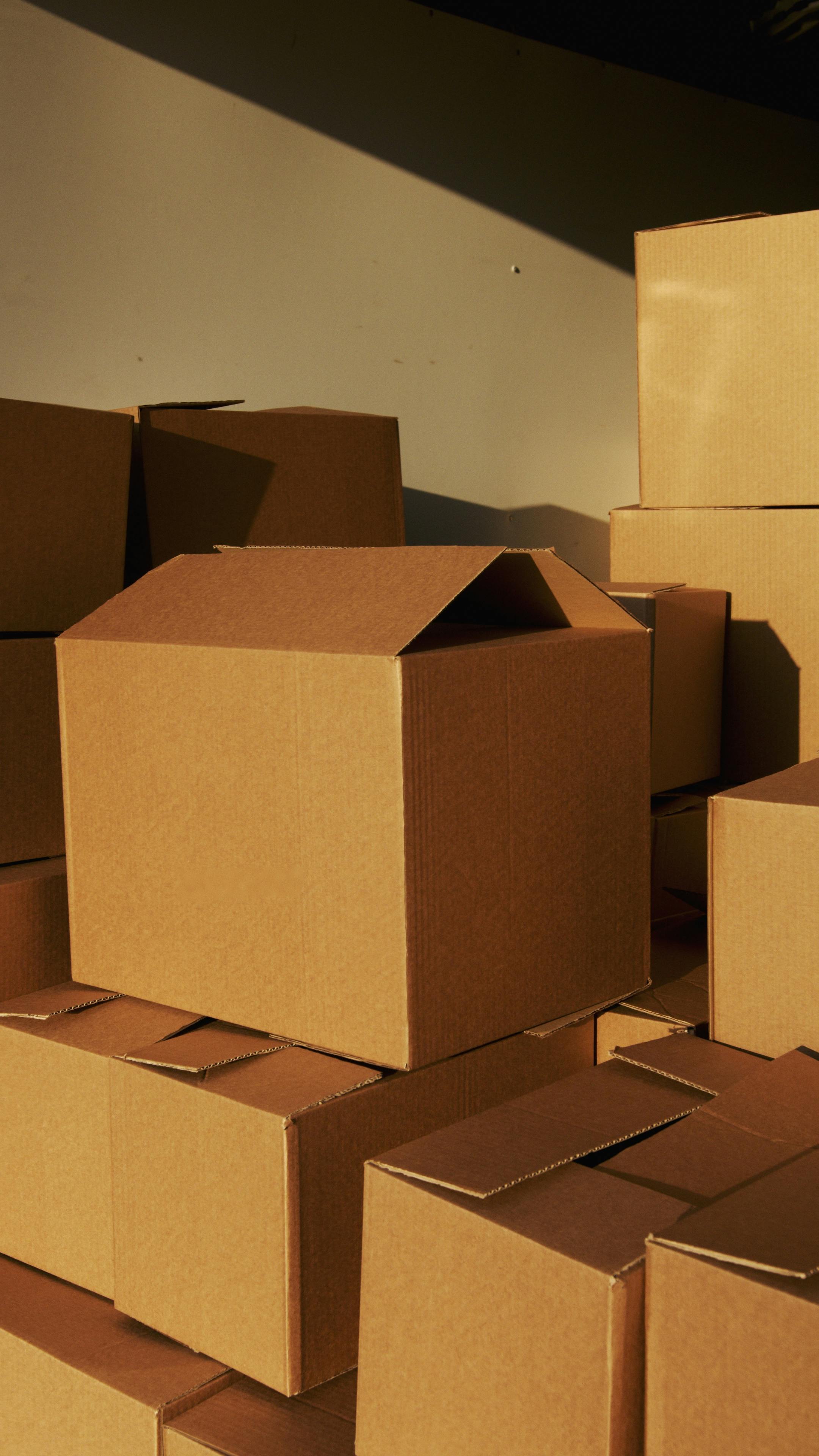 Cardboard collection